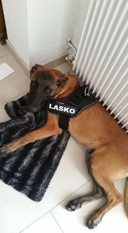 Lasko (Sans Affixe)