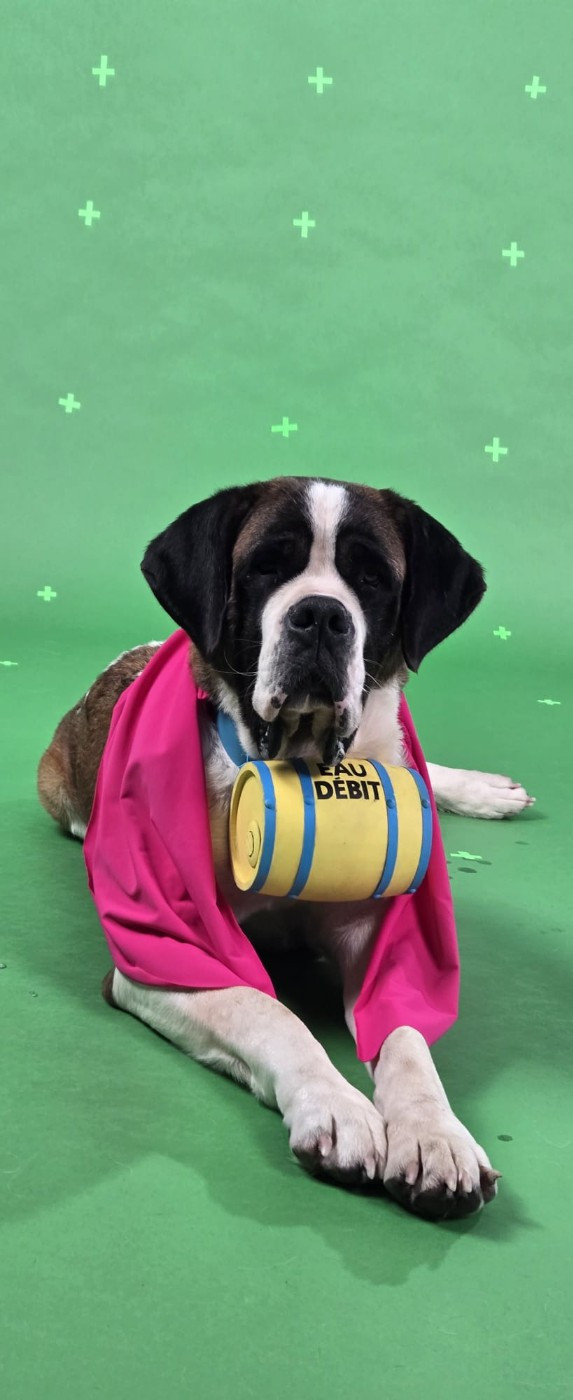 S lagerta De l'Univers De Sirka