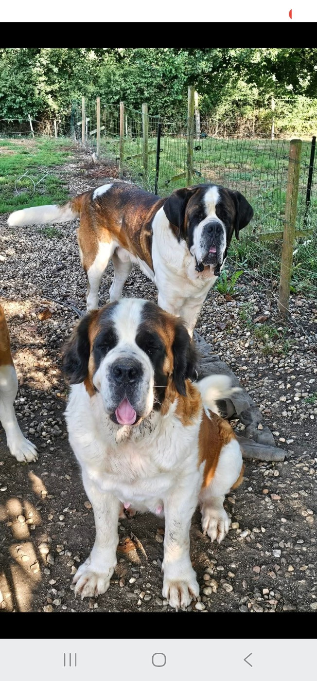 Sidney De l'Univers De Sirka